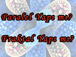 images (5)