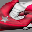 Turk-Japon_dostluYu_1