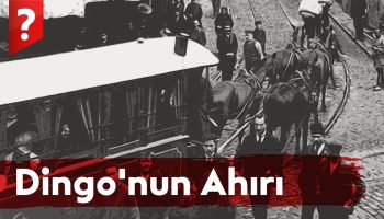 dingonun ahırı