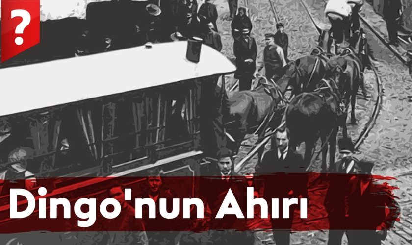 dingonun ahırı