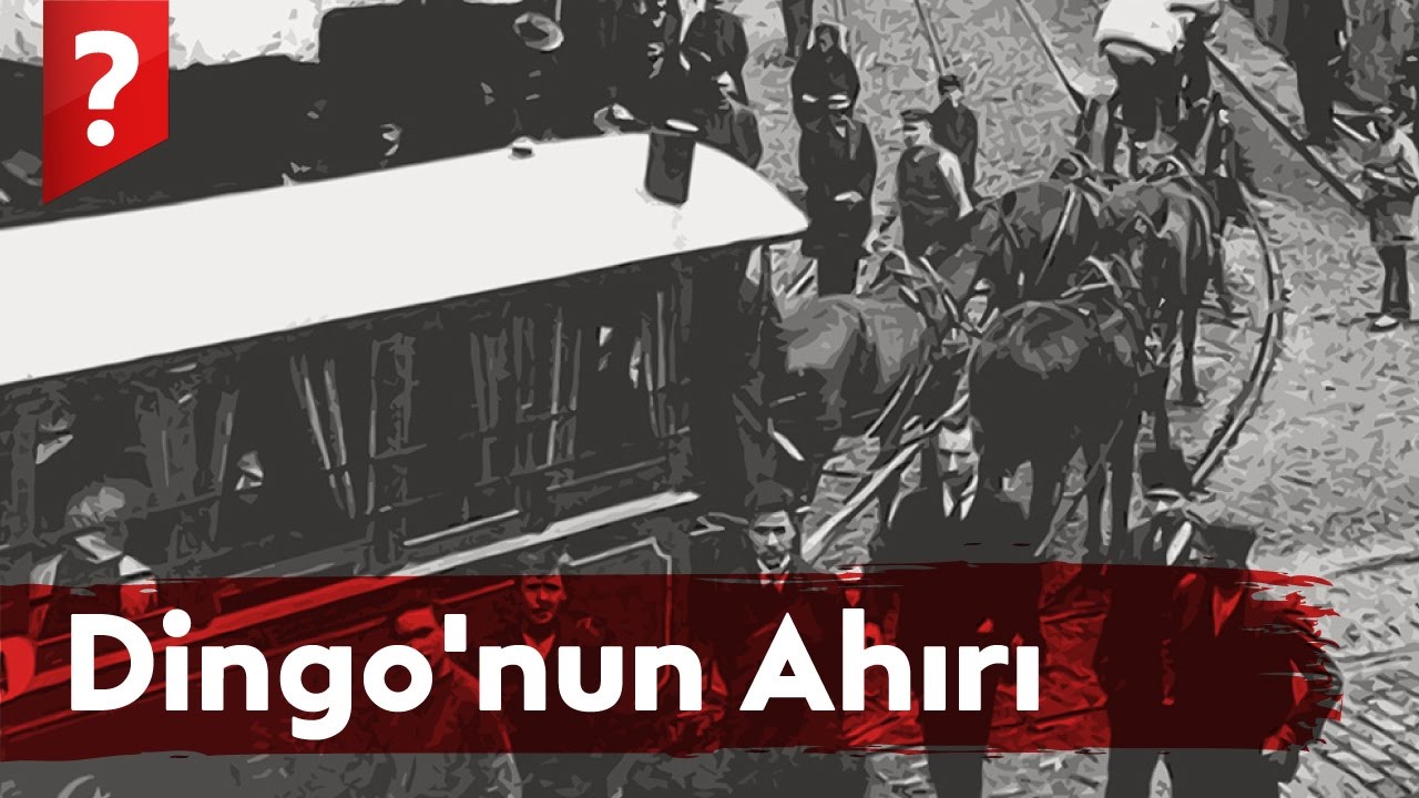 dingonun ahırı